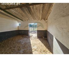 Centro ecuestre con 3 viviendas a 5 km de Ronda