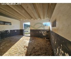 Centro ecuestre con 3 viviendas a 5 km de Ronda