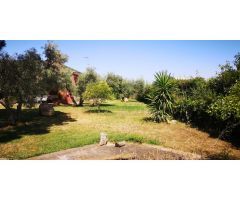 Finca rústica con piscina