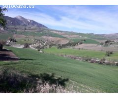 Finca con 2 Viviendas, 24 Hectáreas, Pequeña Viña