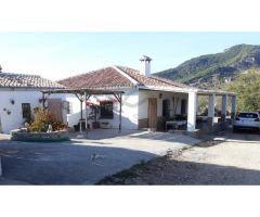 Finca con 2 Viviendas, 24 Hectáreas, Pequeña Viña
