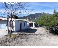 Finca con 2 Viviendas, 24 Hectáreas, Pequeña Viña