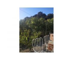 Finca , 2 Viviendas, Piscina, Vistas