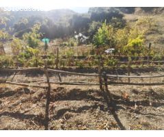 Finca , 2 Viviendas, Piscina, Vistas