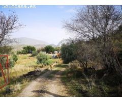 Finca 25 Hectáreas, Pozo, Cercada