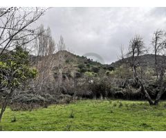 Parcela de Tierra de 4 Hectáreas con Finca.