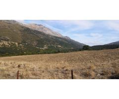 Finca, Cortijo 350m2 para Reformar, 54 Ha, Vistas
