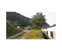Finca con Casa, Naves y Olivos. Magníficas Vistas