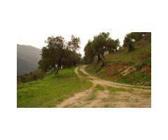 Finca con Casa, Naves y Olivos. Magníficas Vistas