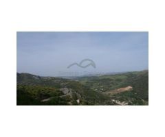 Finca con Casa, Naves y Olivos. Magníficas Vistas