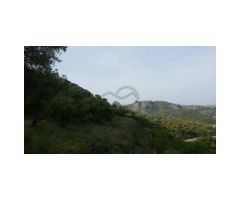 Finca con Casa, Naves y Olivos. Magníficas Vistas