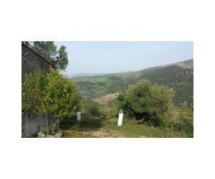 Finca con Casa, Naves y Olivos. Magníficas Vistas