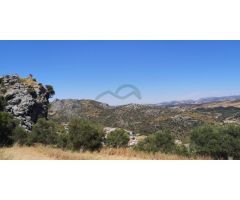 Finca con Casa, Naves y Olivos. Magníficas Vistas
