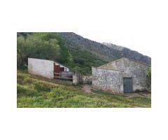 Finca con Casa, Naves y Olivos. Magníficas Vistas