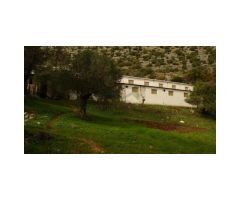 Finca con Casa, Naves y Olivos. Magníficas Vistas