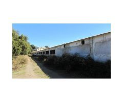 Finca 88 Hectáreas, Casa Cortijo, 2 Casas, 8 Naves