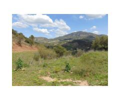 Finca 15.2 Hás, Edificaciones para Reformar