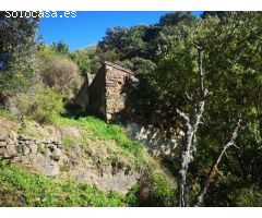 Finca, Ruina 80m2, Frutales, Valle del Genal