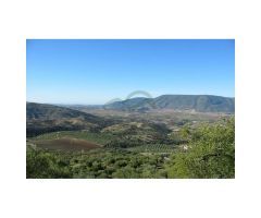 Finca de 8 Hectáreas, Nave de 153 m2 Vivienda