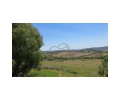 Cortijo, 22 Has Terreno, Vistas al Mar