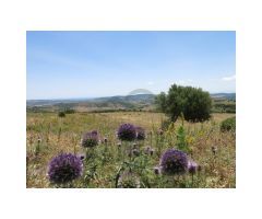 Cortijo, 22 Has Terreno, Vistas al Mar