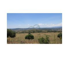Cortijo, 22 Has Terreno, Vistas al Mar