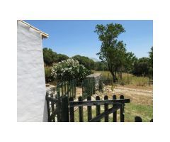 Cortijo, 22 Has Terreno, Vistas al Mar