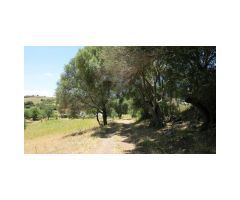 Cortijo, 22 Has Terreno, Vistas al Mar