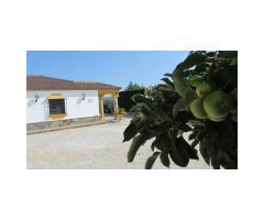 Casa de Campo, Piscina, Garaje, Trastero, Huerto