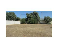 Casa de Campo, Piscina, Garaje, Trastero, Huerto