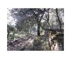 Finca de Encinas, Casa de Piedra, 4 hectares
