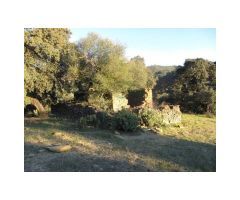 Finca de Encinas, Casa de Piedra, 4 hectares