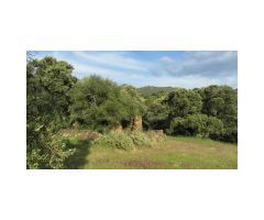 Finca de Encinas, Casa de Piedra, 4 hectares