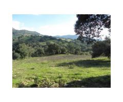 Finca de Encinas, Casa de Piedra, 4 hectares