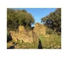 Finca de Encinas, Casa de Piedra, 4 hectares