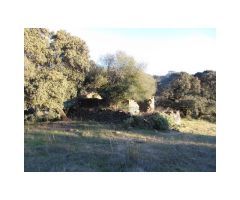 Finca de Encinas, Casa de Piedra, 4 hectares