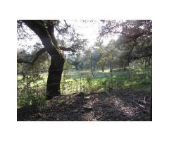 Finca de Encinas, Casa de Piedra, 4 hectares