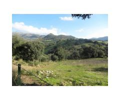 Finca de Encinas, Casa de Piedra, 4 hectares