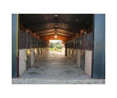 Finca/Centro Ecuestre, 3 Viviendas