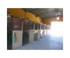 Finca/Centro Ecuestre, 3 Viviendas