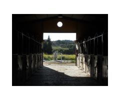 Finca/Centro Ecuestre, 3 Viviendas