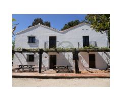 Finca 500 Ha Valle del Genal, Corcho en Produccion