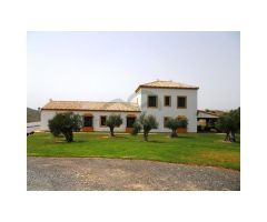 Cortijo Ecuestre, Casita, Piscina, Plaza de Toros