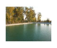 Cortijo con 37 hectares, Puerto Serrano