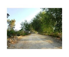 Cortijo con 37 hectares, Puerto Serrano