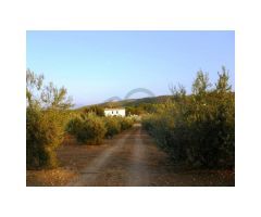 Cortijo con 37 hectares, Puerto Serrano