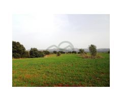 Terreno para Casa de Campo/Hotel Rural