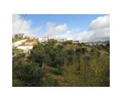 Parcela 11.000m2, Huerto, Viñas y Olivos
