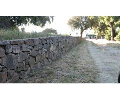 Finca de 160 ha. Cortijo, Casa Huéspedes, Naves, agua de manantiales