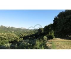 Finca de 160 ha. Cortijo, Casa Huéspedes, Naves, agua de manantiales